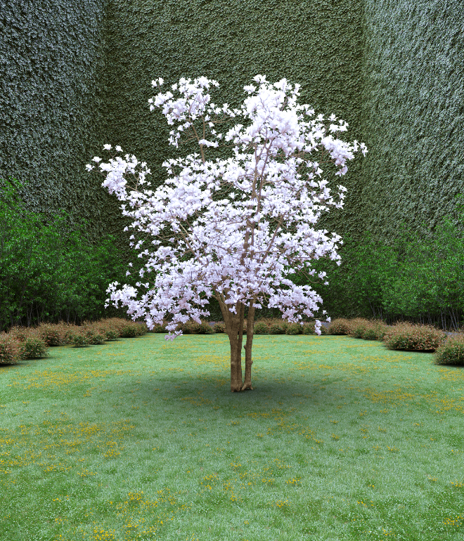 Garden of Imagination #25