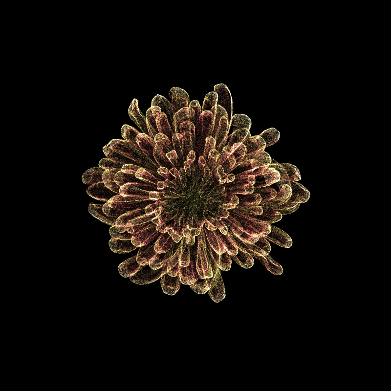 Chrysanthemum Morifolium 30 #51