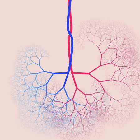 capillary trees