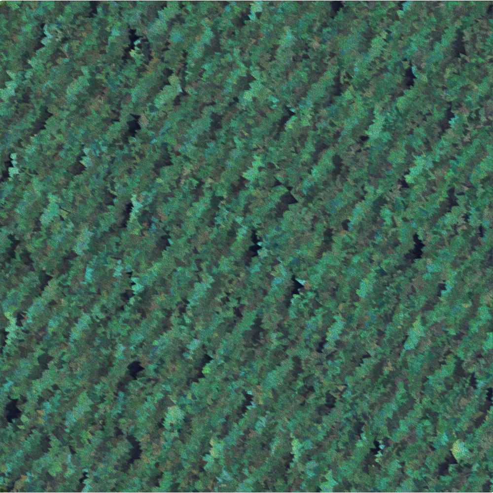 Obfuscation #43
