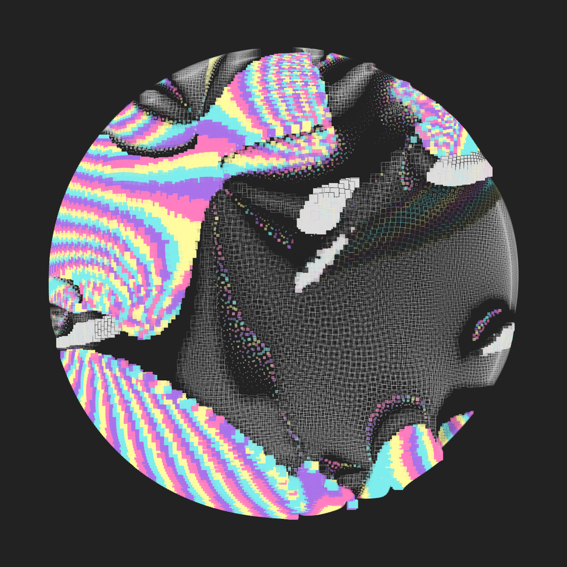 Still C #28482