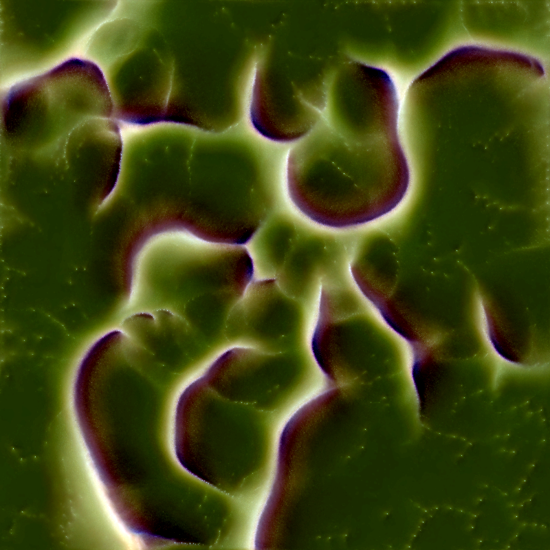 Genomes #456