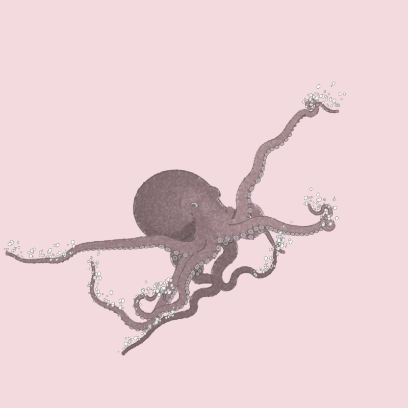 the generative octopuses #4