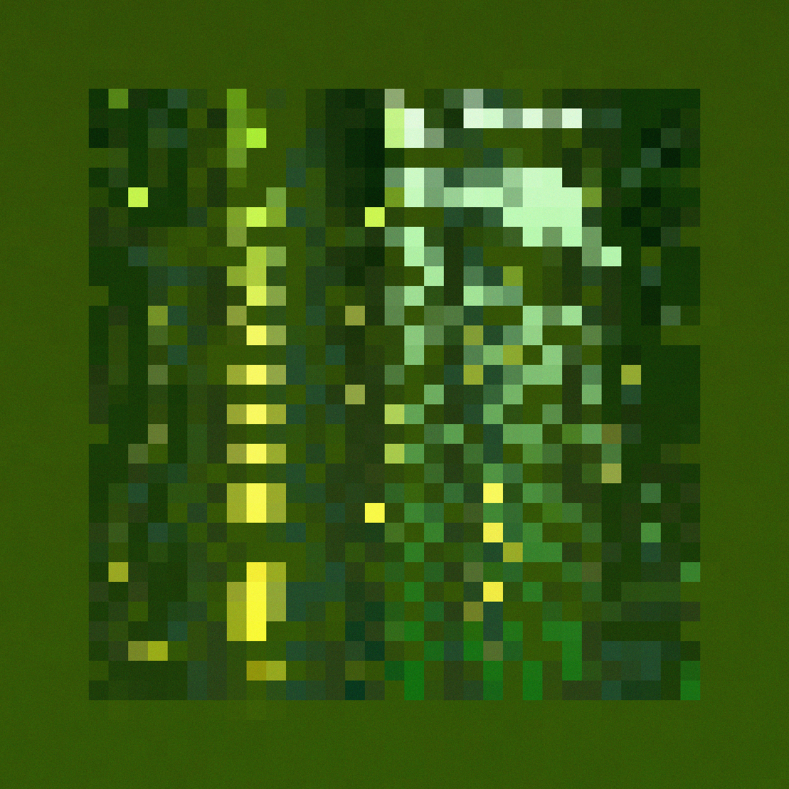 Tympanic #437