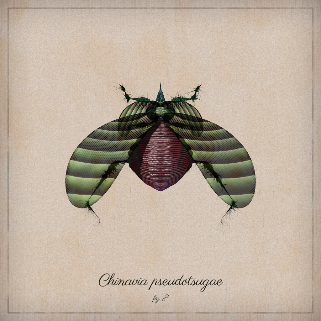 ProcGen Entomology #74