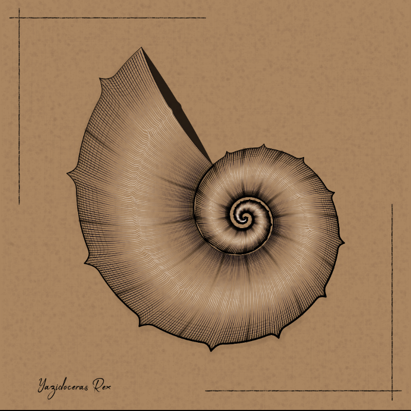 Ammonites #21