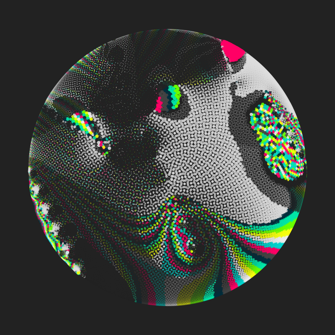 Still C #28524