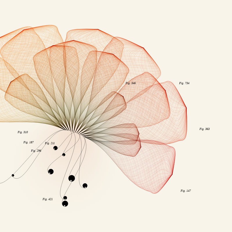 Herbarium #209