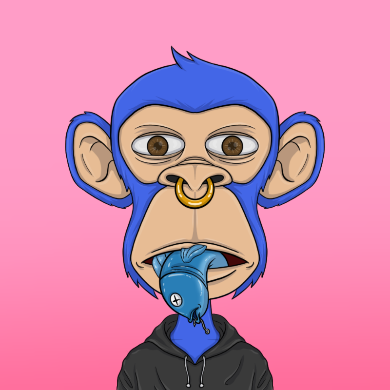 chimpantez #893