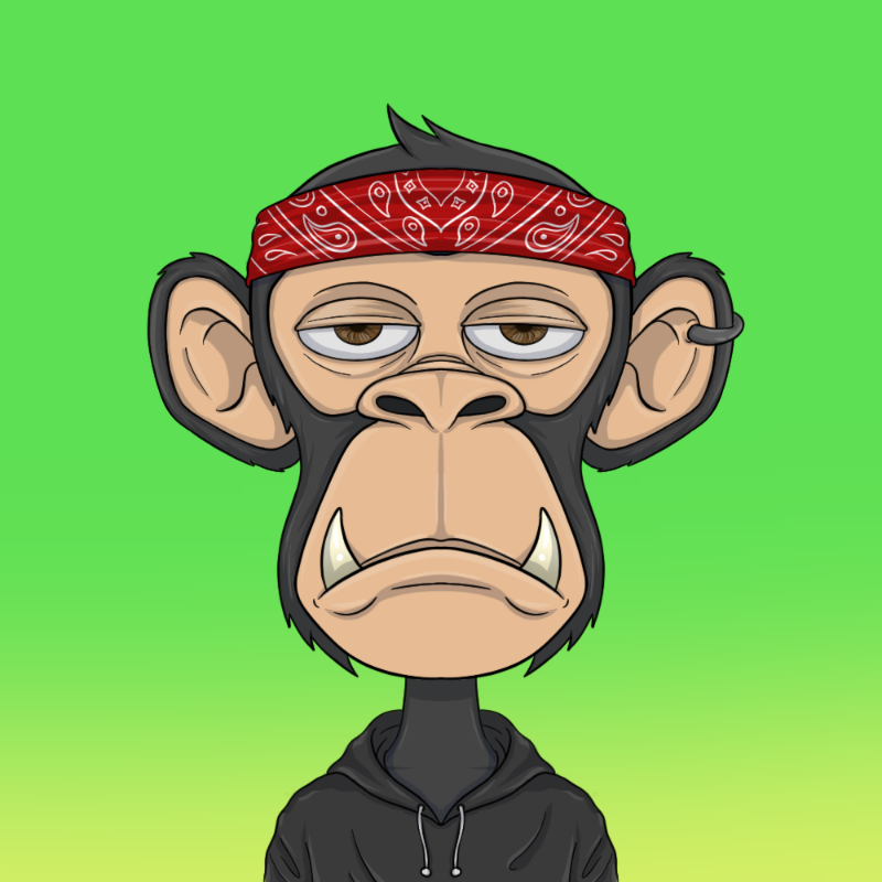 chimpantez #483