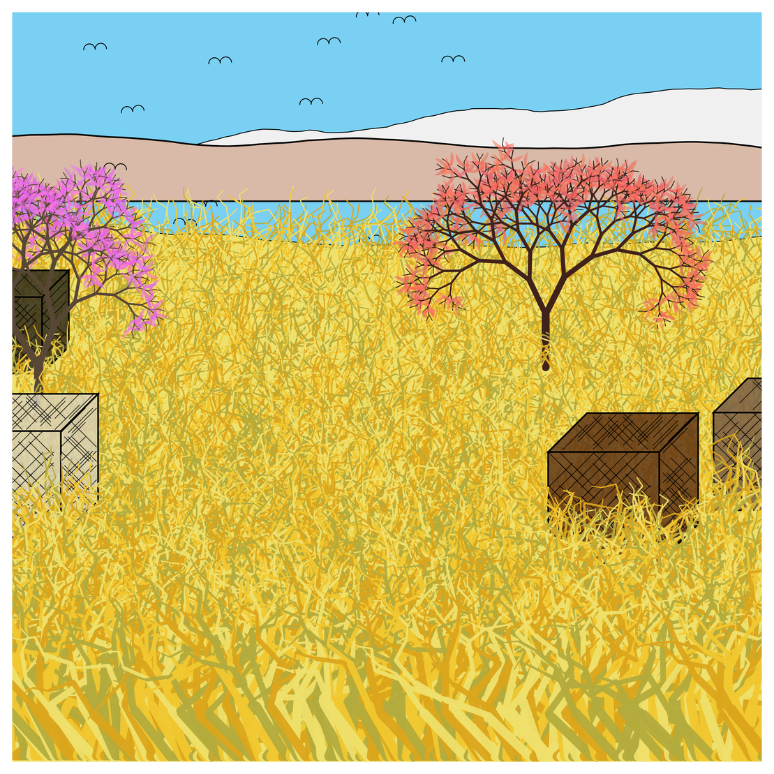 Cube Forest #81