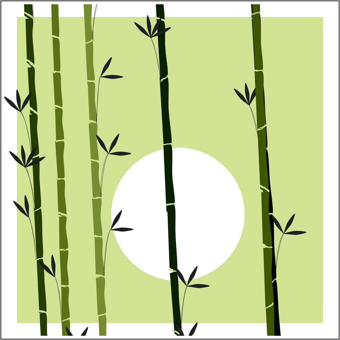 Bamboo and Beyond #33