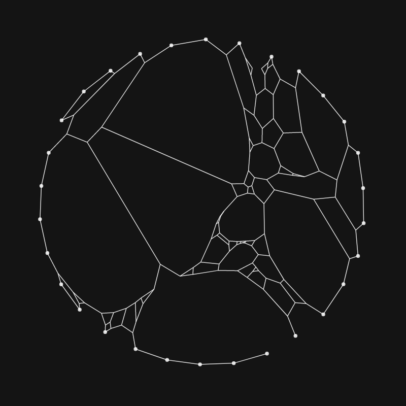 Elastic Web #12