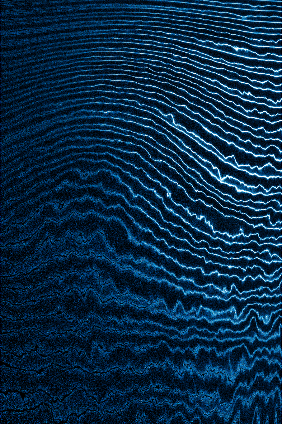 Linear Perturbations #79