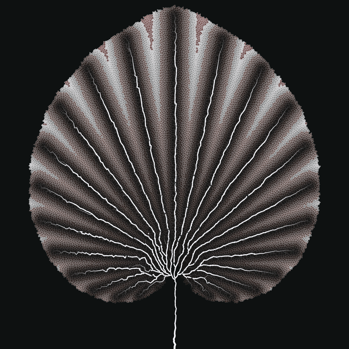 Leaf study #46