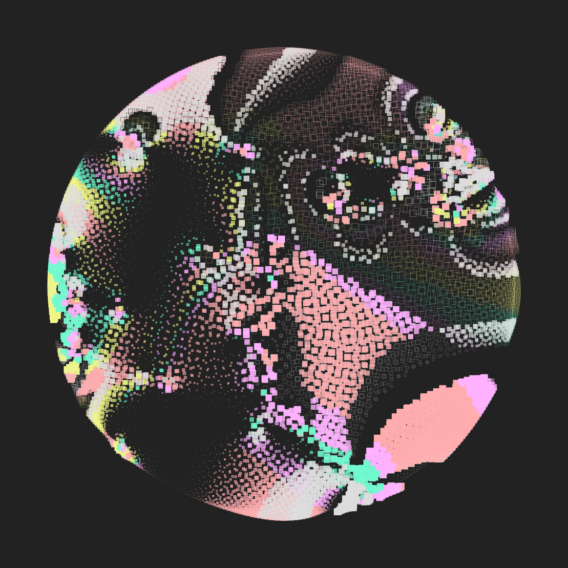 Still C #20676