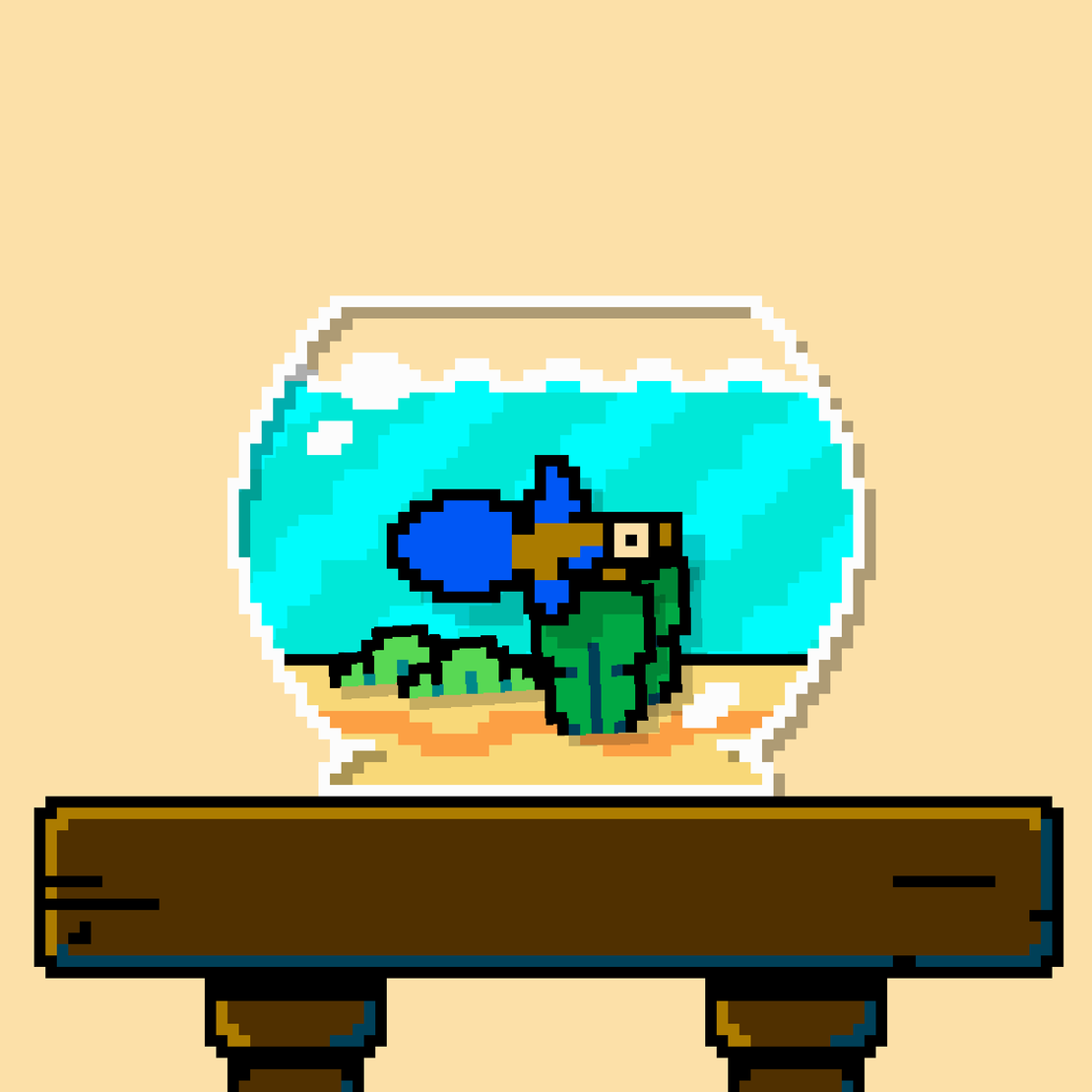 betta fish #642