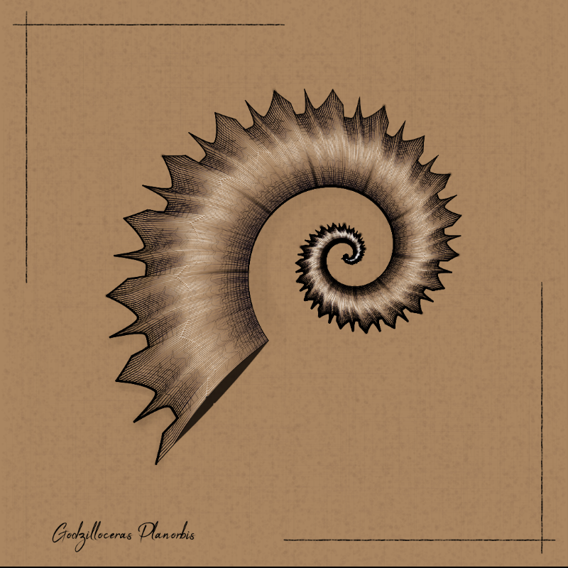 Ammonites #94