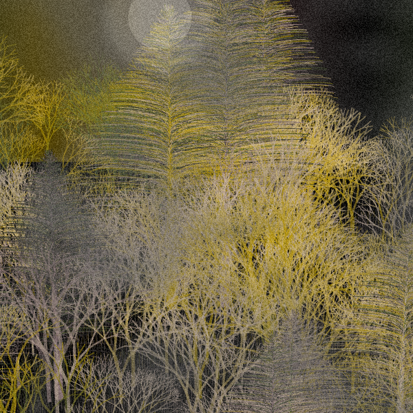 Moonlit Native Bush #32