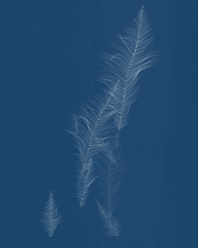 Cyanotypes #60