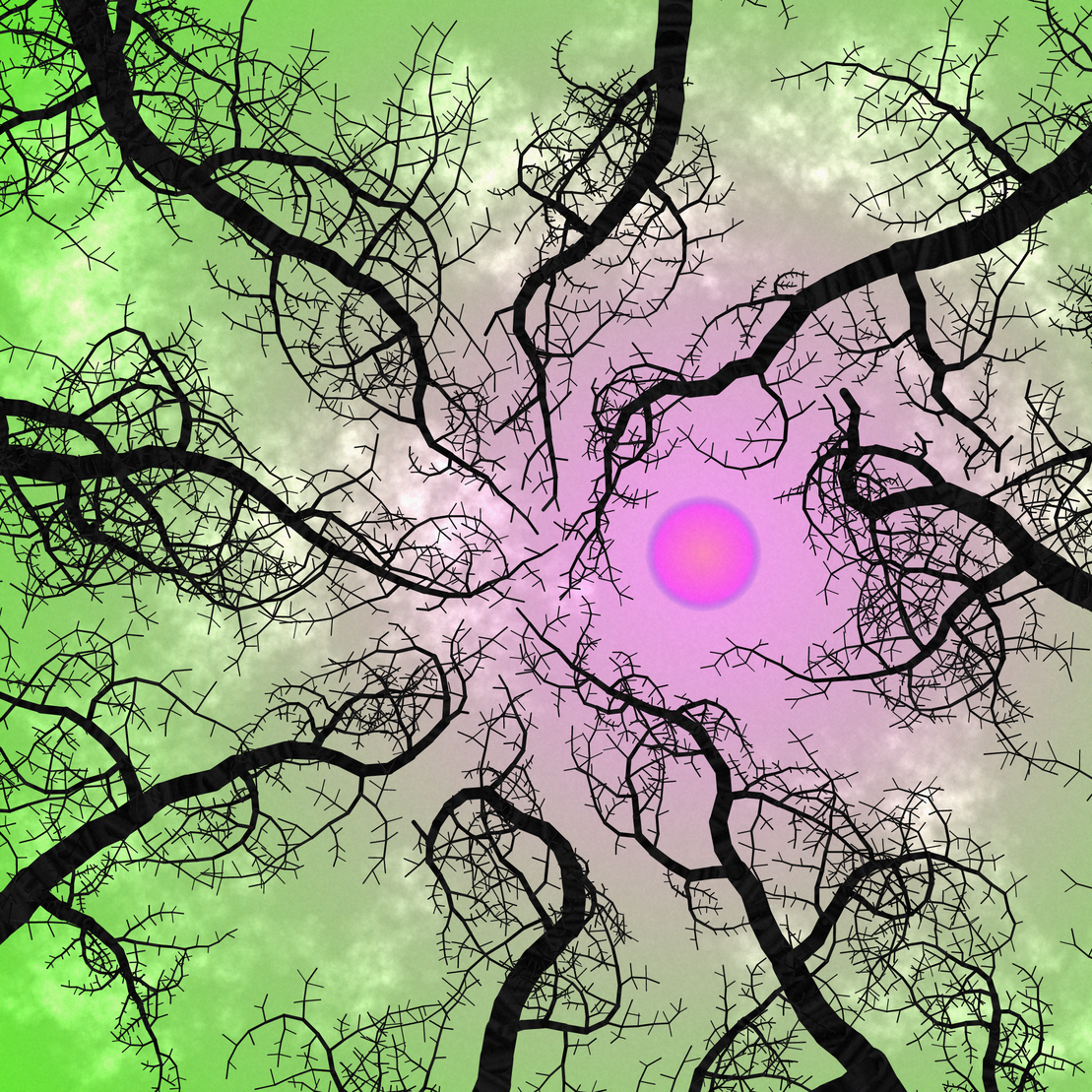 Tree Skyness #2