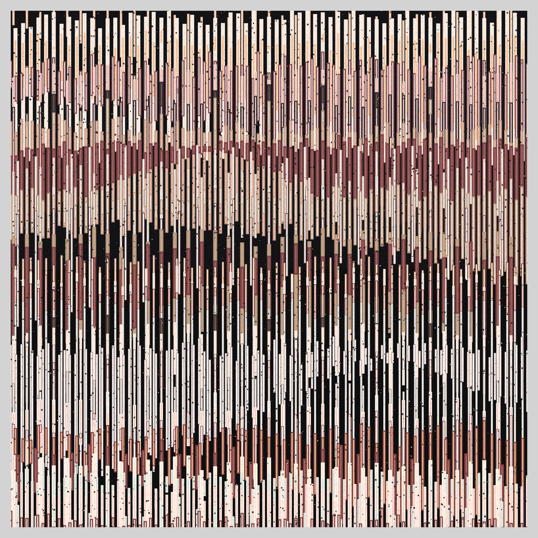 Soil Horizon Square #9