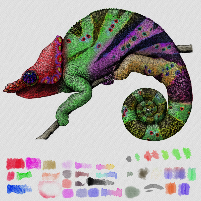 Colorful Cameleon #4