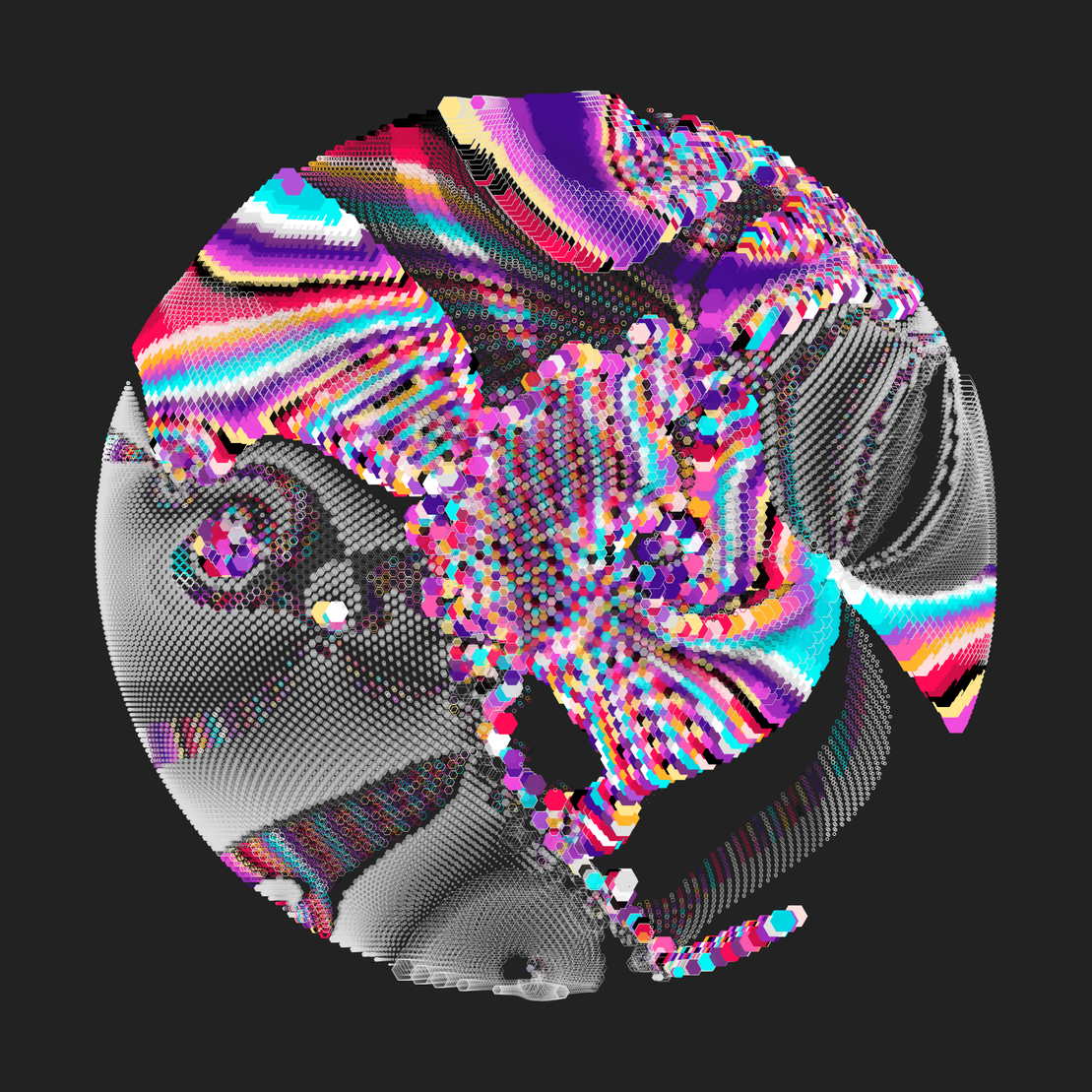 Still C #33431