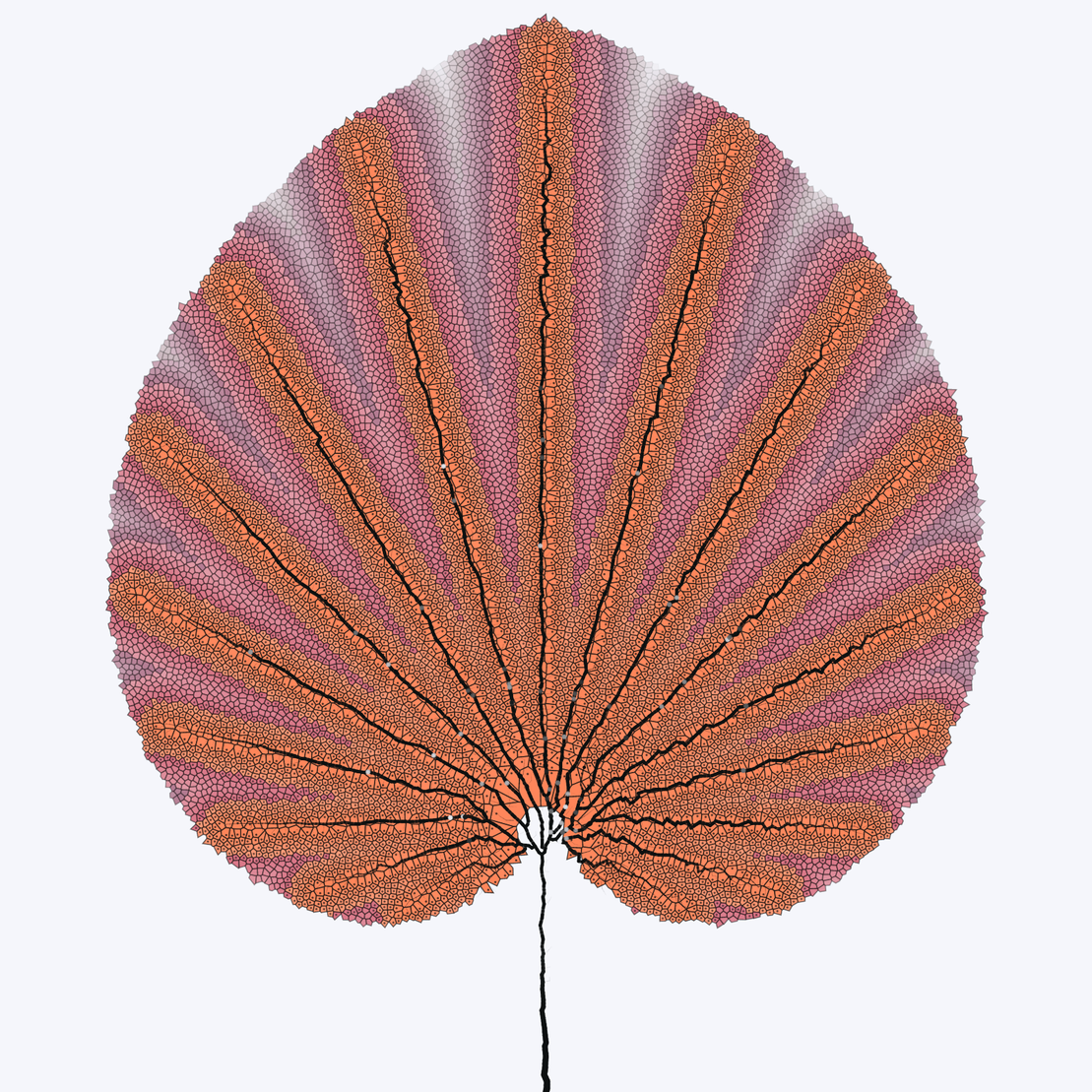 Leaf study #5