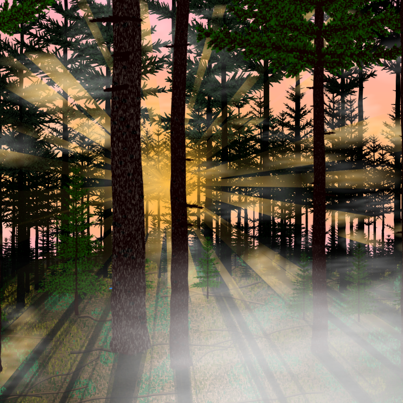 Forest Sunrise #9