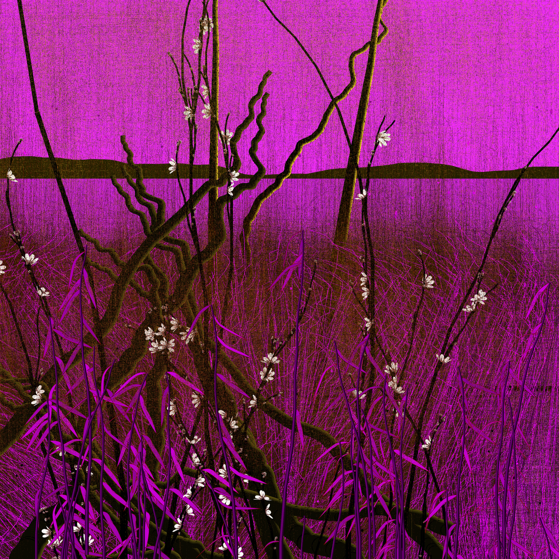 Dry twigs #17