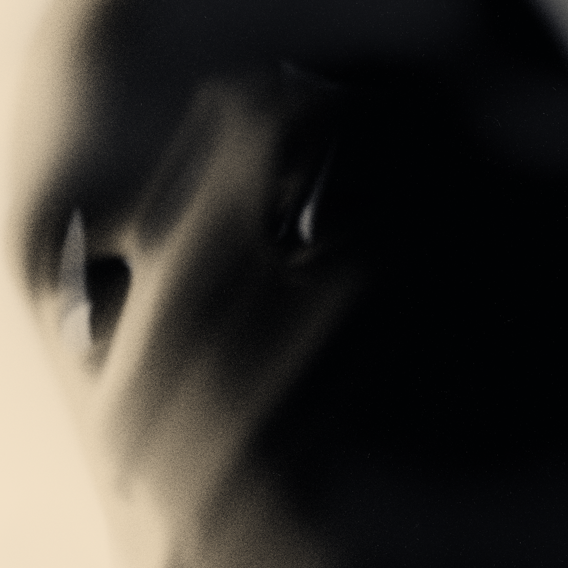 Emotional Shell #349
