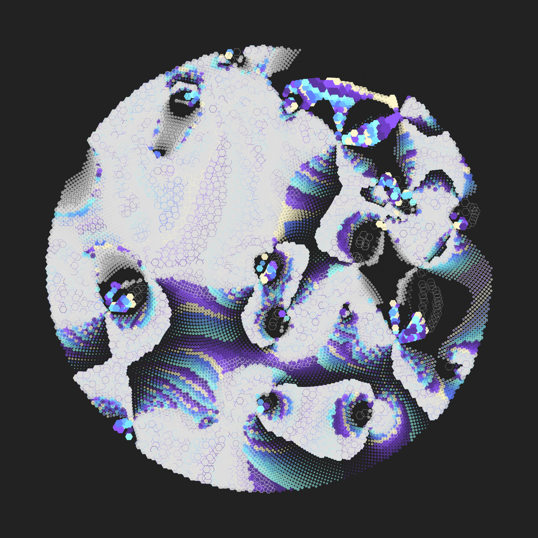 Still C #27580