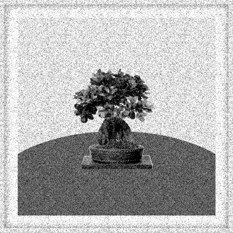 Bonsai Bonanza #821