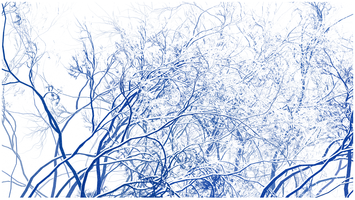SCHNEEWALD #136