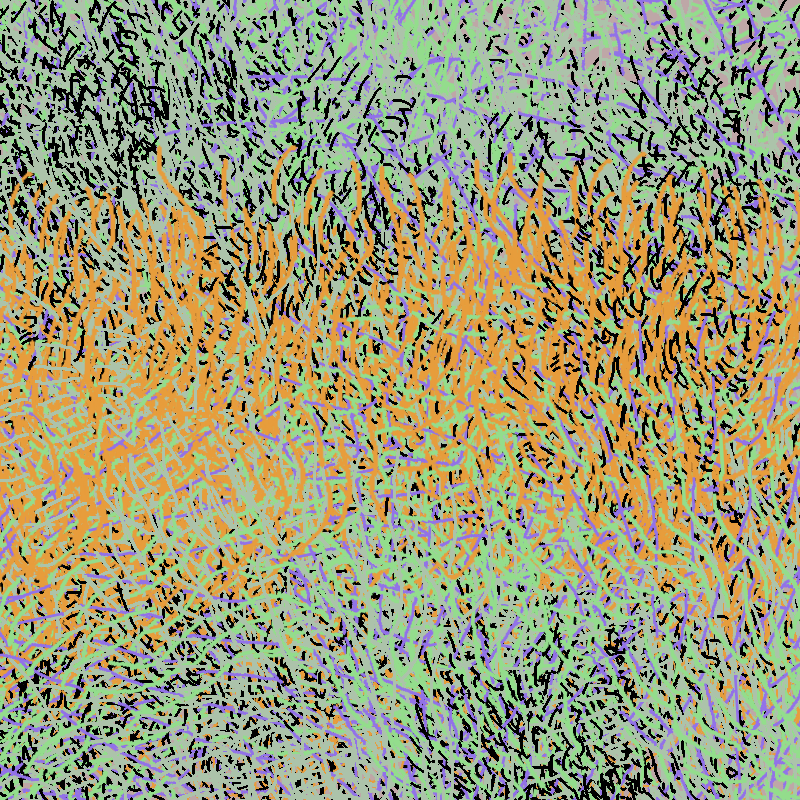 a bird worked on my painting #24
