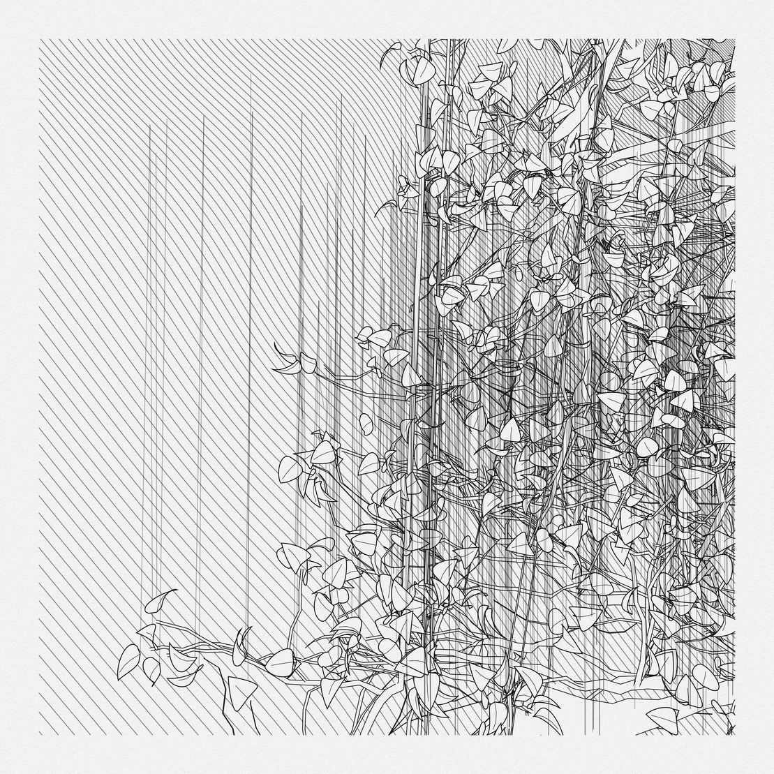 A Bugged Forest #887