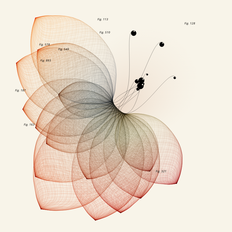 Herbarium #1181