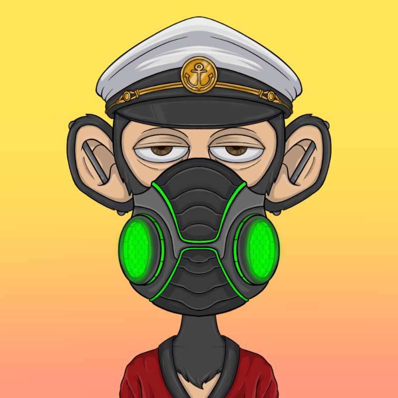 chimpantez #243