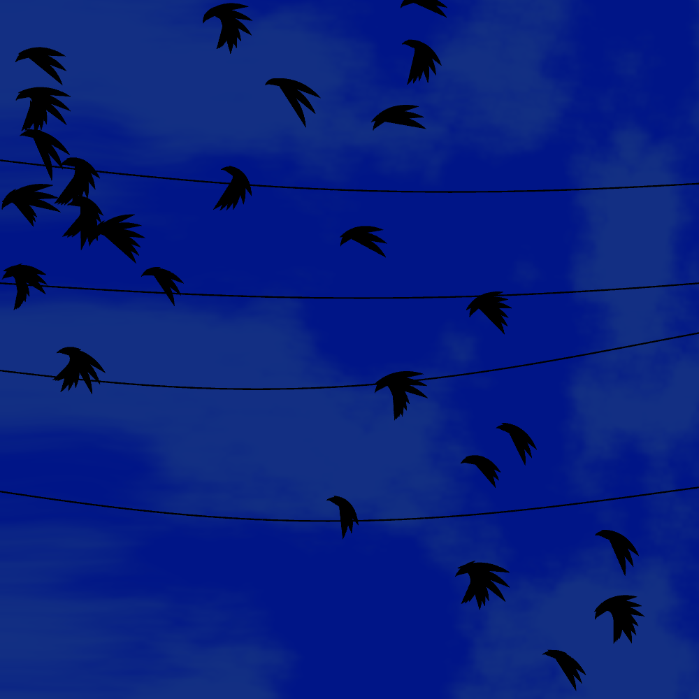 Flock #3