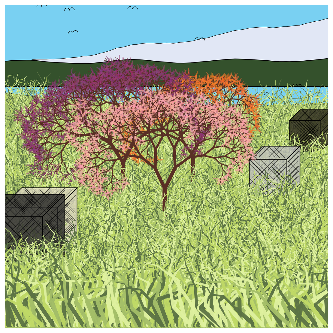 Cube Forest #42