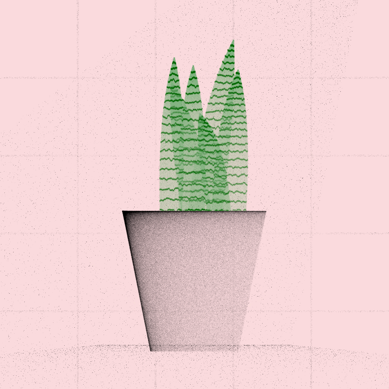 🌱 Potted & Printed #595