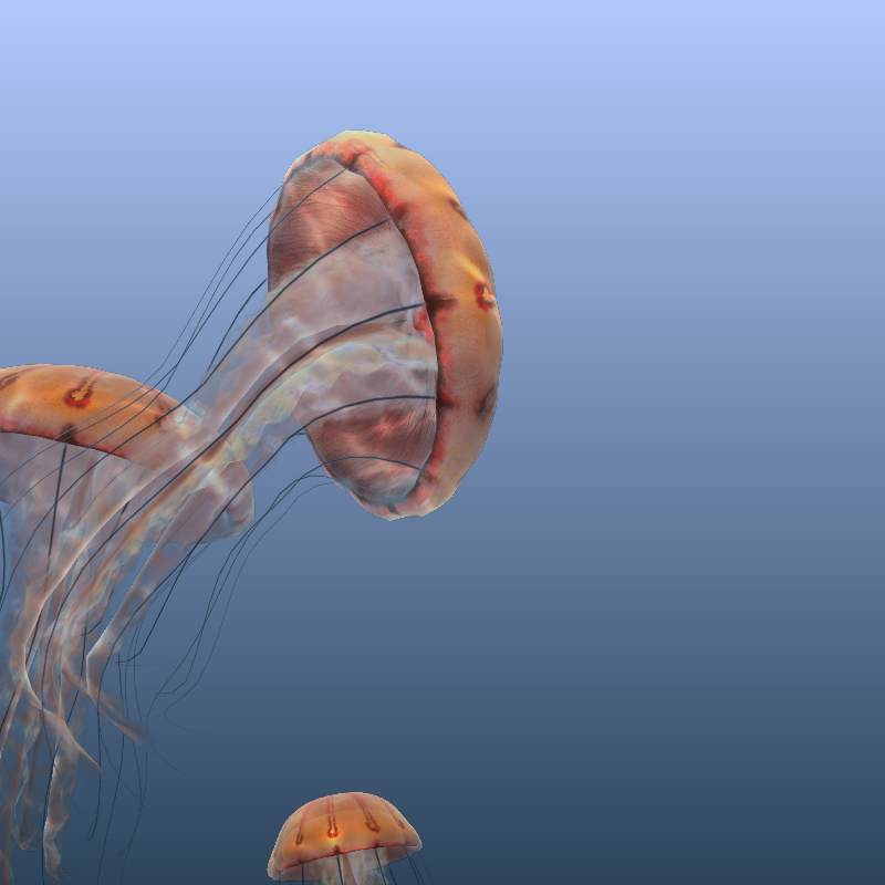 Jellyfish #8