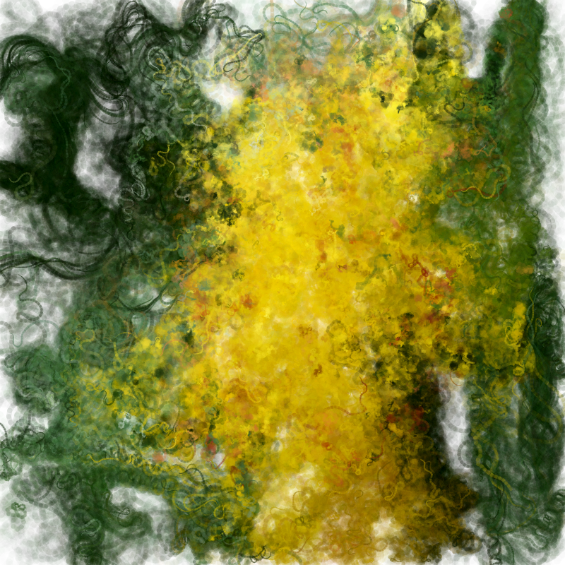 Hypericum #212