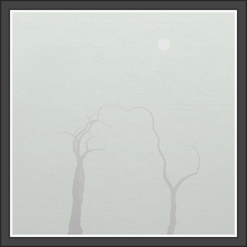 The Foggy Trees #83