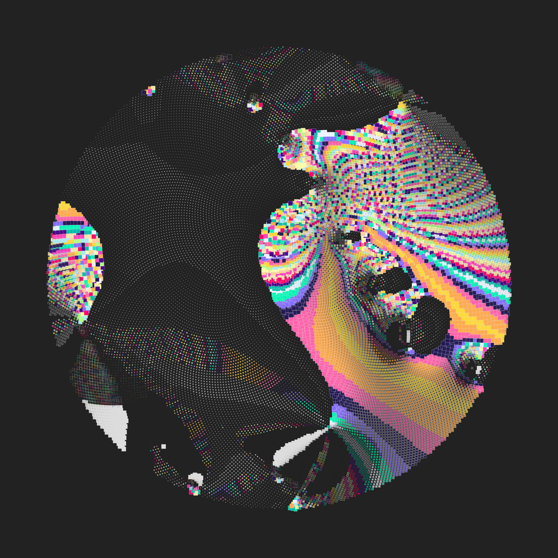 Still C #21803