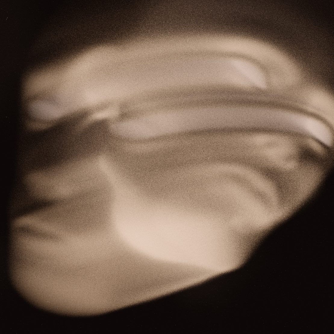 Emotional Shell #455