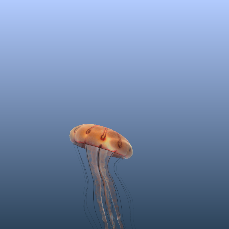 Jellyfish #33