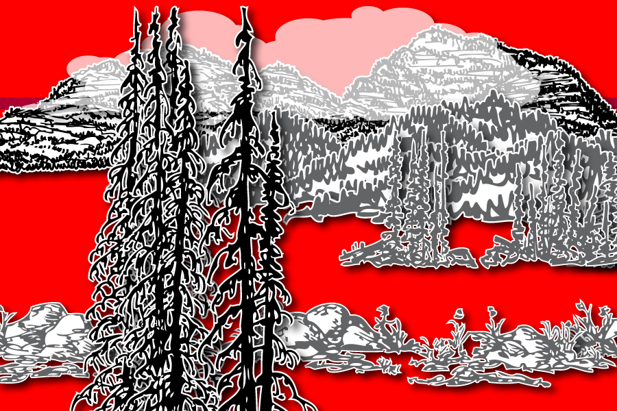 Wild Paper Road #19