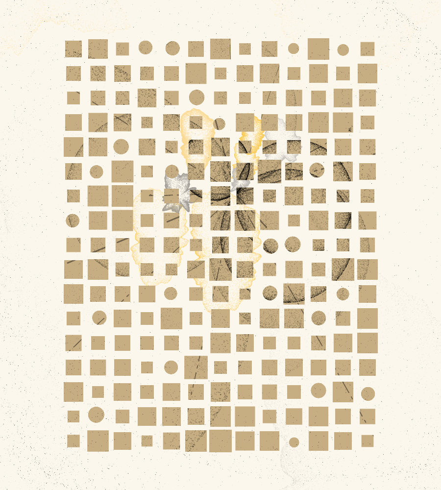 Generacci #124